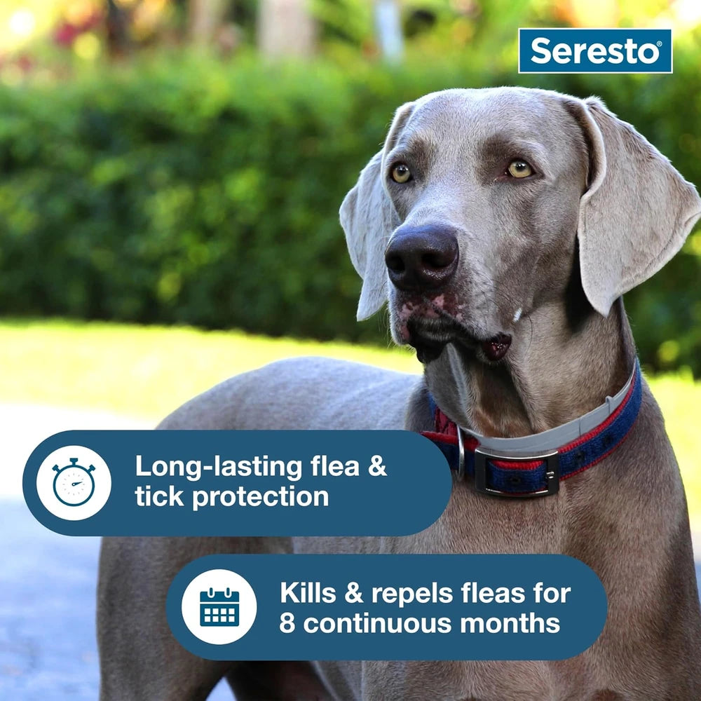 Seresto Flea Tick Collar