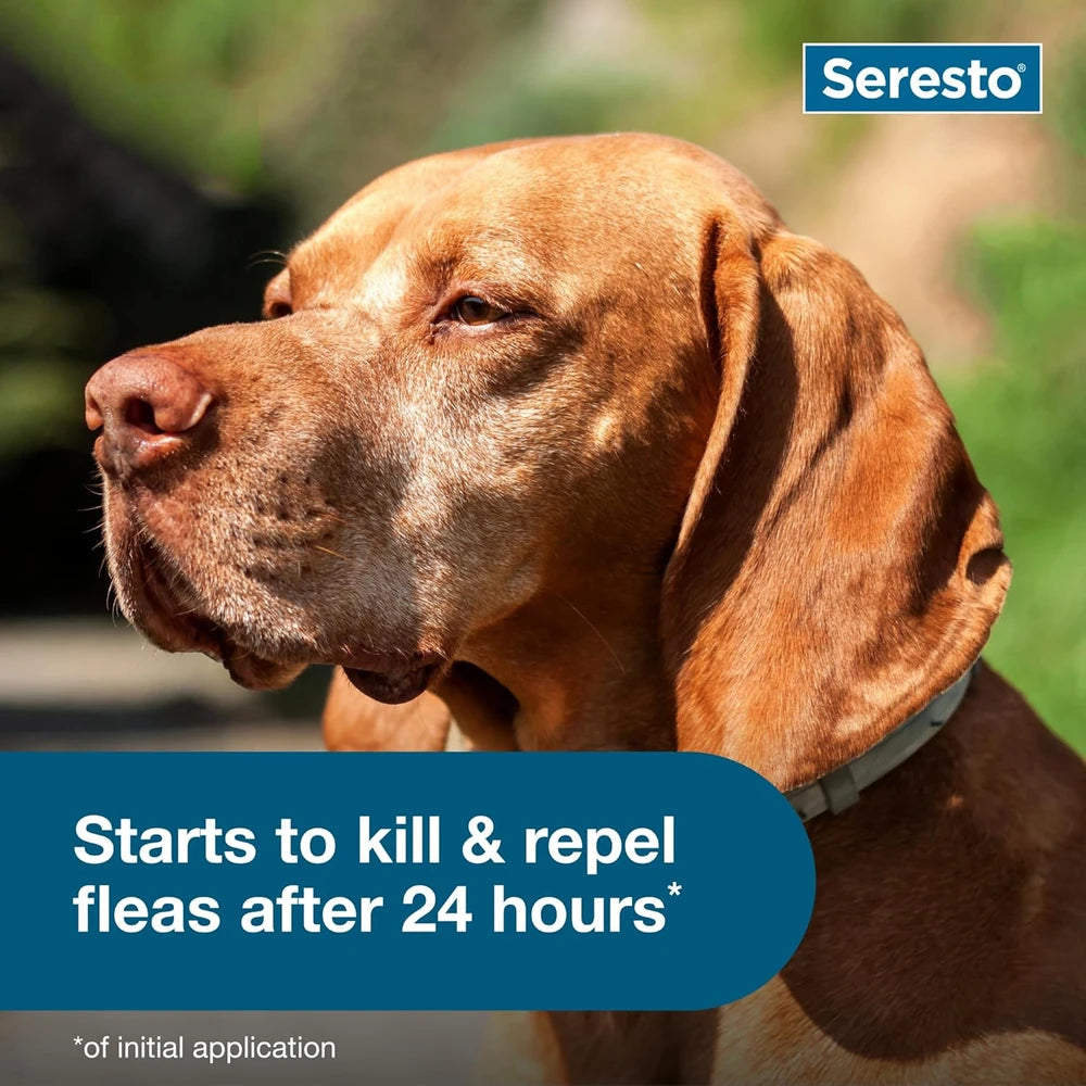 Seresto Flea Tick Collar