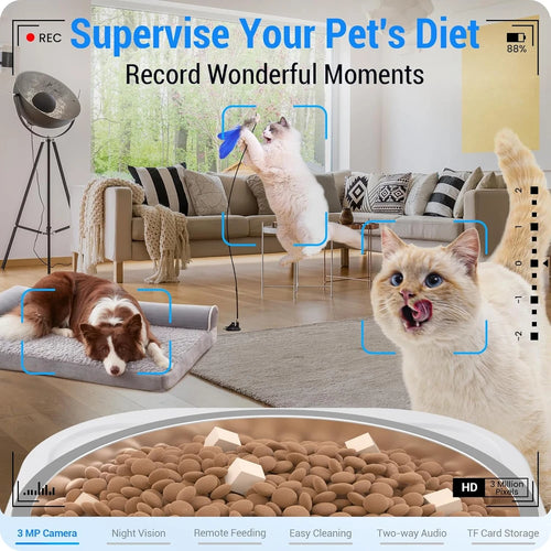 Frienhund Feeder mit Kamera